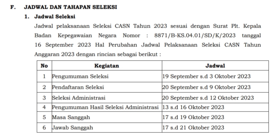 Syarat, Kriteria, Jadwal dan Tahapan Seleksi PPPK di Lampung Selatan