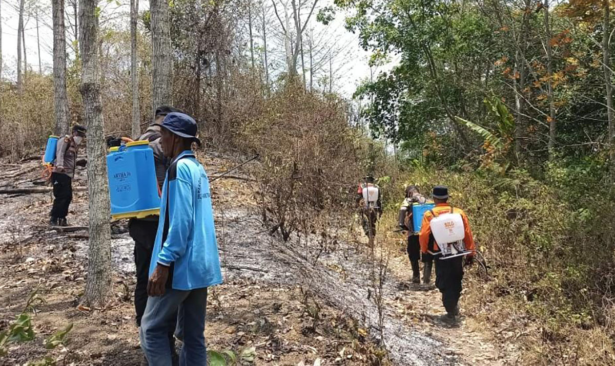 Alami Kendala Padamkan Api di Lokasi Kebakaran Lahan Tanggamus Lampung, Tim Gabungan Harus Gunakan Alat Ini 