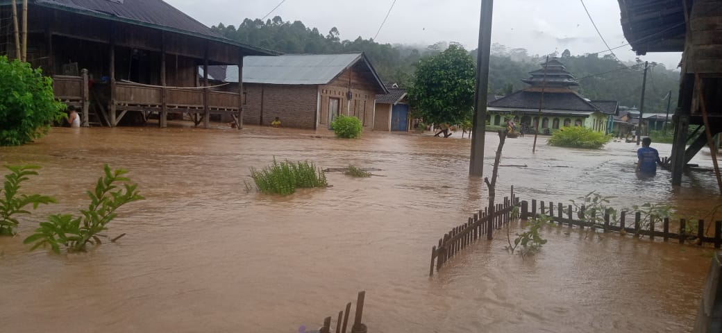 Puluhan Rumah di BNS Lampung Barat Terendam Banjir, Dua Lainnya Terkena Material Longsor