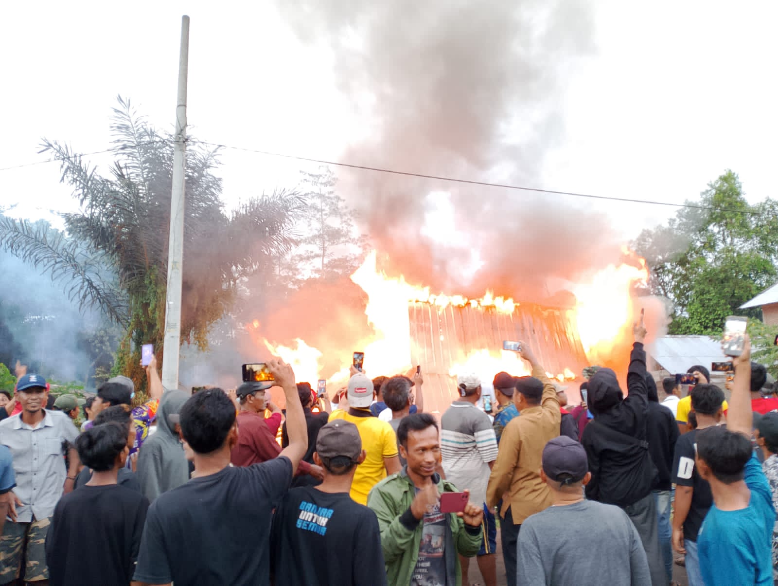 5 Orang Diamankan Polisi Pasca Pembakaran Kantor TNBBS Resort Suoh