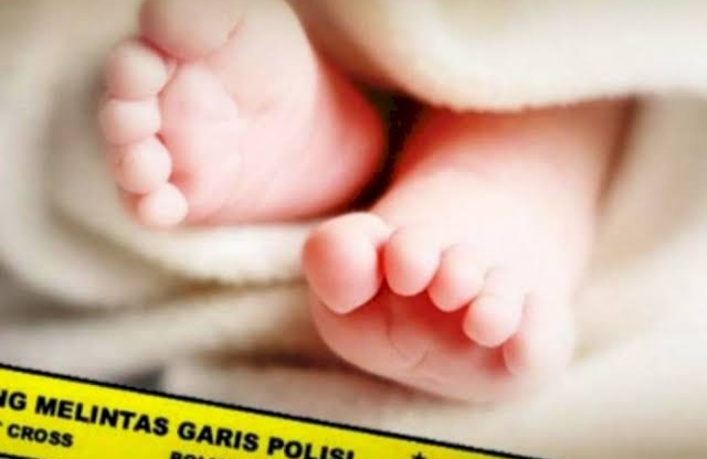 Geger! Warga Gadingrejo Temukan Mayat Bayi di Kolam Bekas Pembuangan Sampah