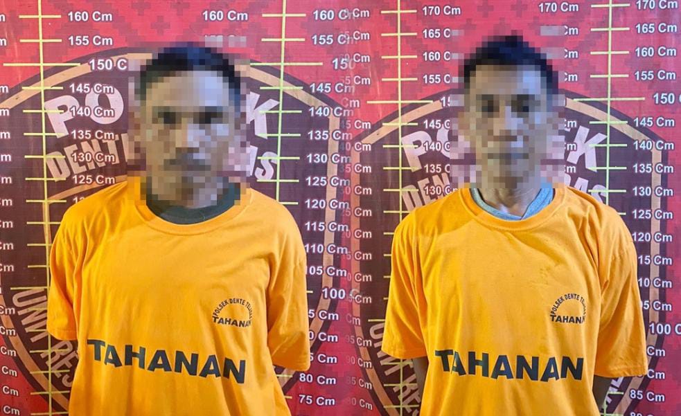 Panen Jeruk di Kebun Orang, Warga Tulang Bawang dan Way Kanan Diciduk Polisi