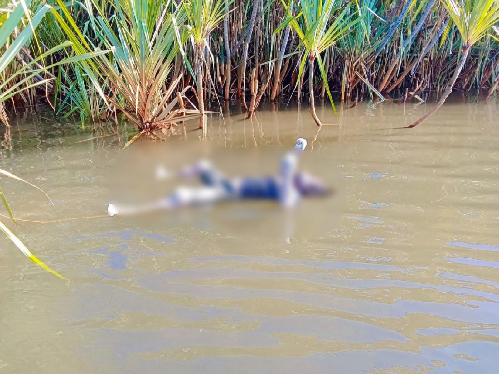 Warga Dikejutkan Penemuan Mayat Mengambang di Perairan Perbatasan Mesuji–OKI