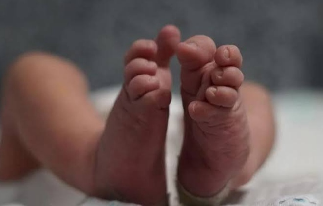 Soal Penemuan Mayat Bayi, LPA Pringsewu Beri Respons Ini 