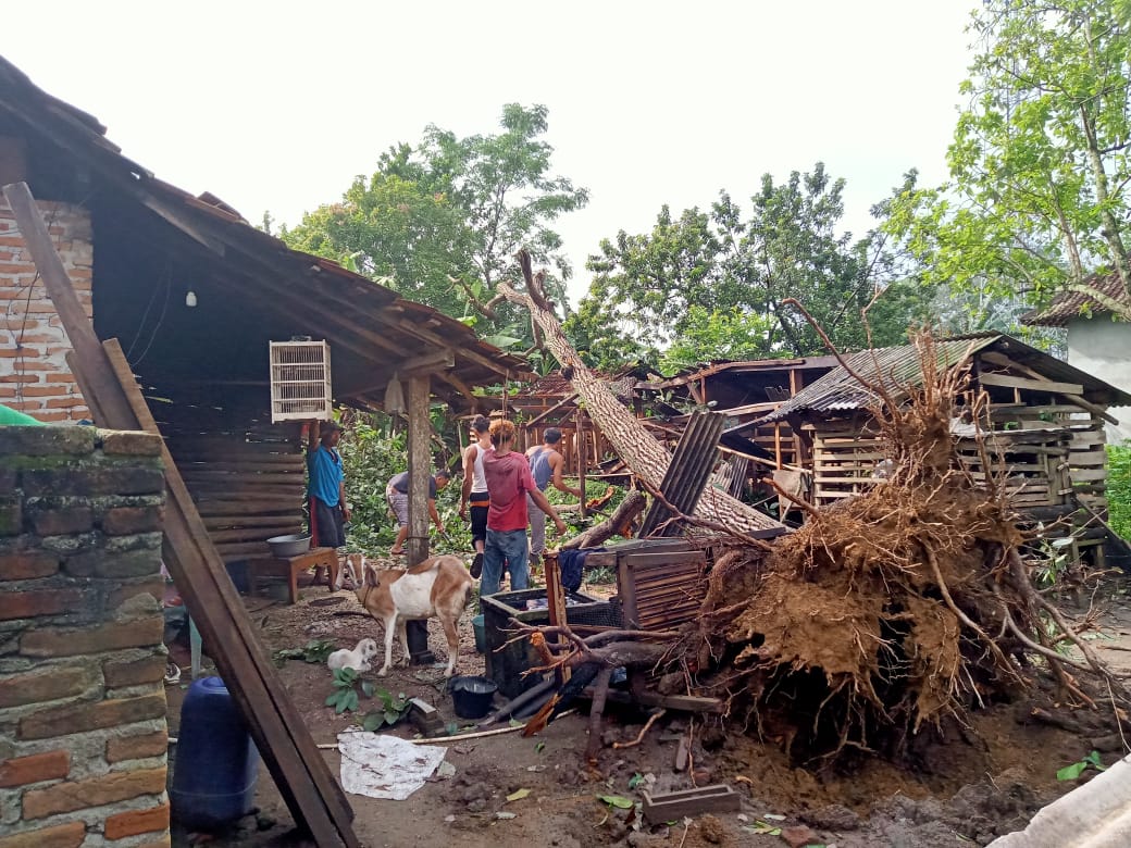 Diterjang Puting Beliung, Puluhan Rumah di Tuba Rusak