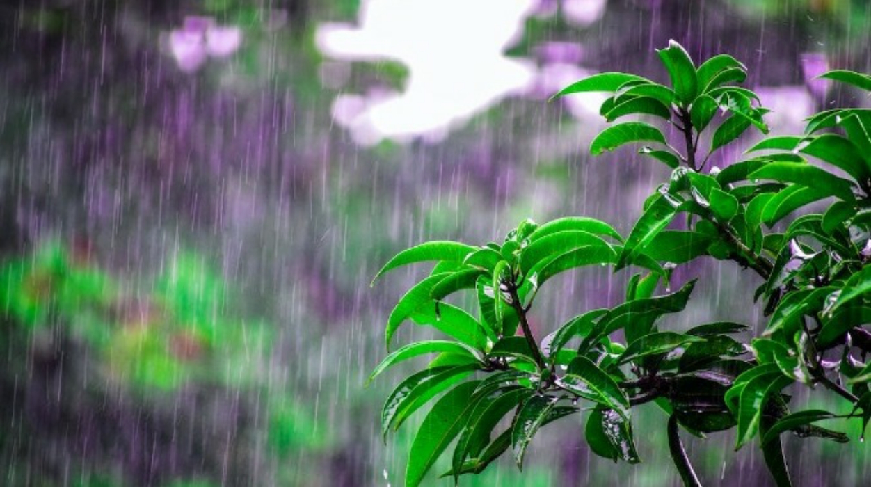 Tiga Proses Terjadinya Hujan, Jenis-Jenis dan Manfaatnya