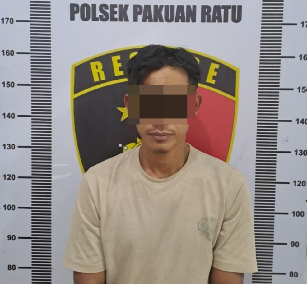 Diduga Curi Puluhan Tandan Buah Sawit di PT BNIL Blok 1, Pria Lampung Ini Ditangkap Polisi Way Kanan