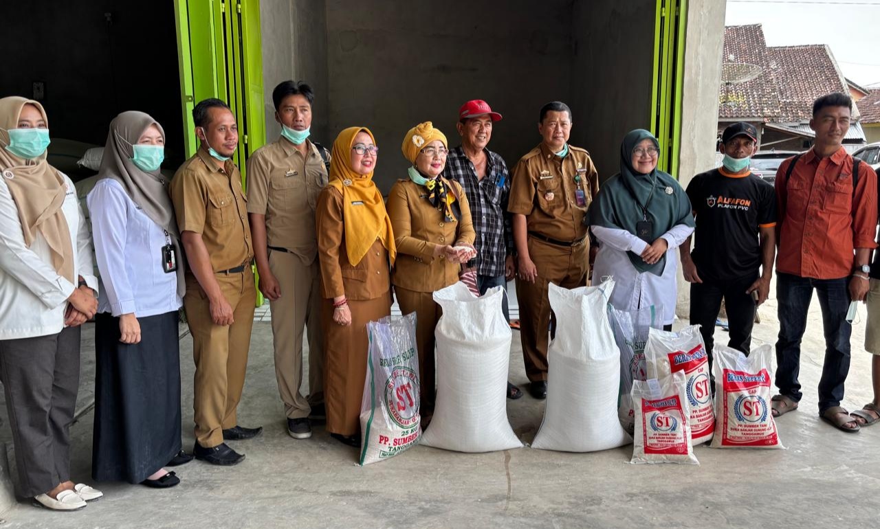 BPS - TPID Tanggamus Survei Konversi Gabah Beras 2025