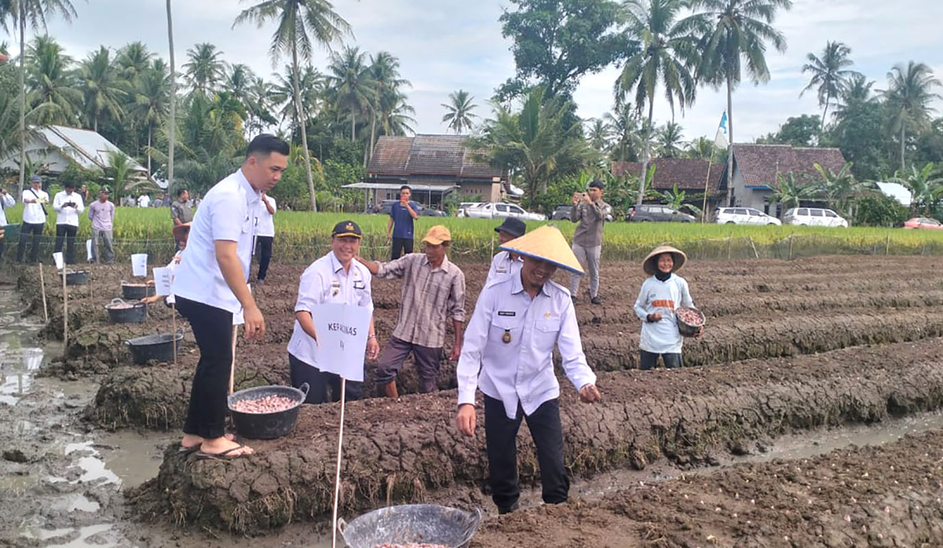 Gulirkan Gertak Mata Babe di Wonosobo, Wabup Tanggamus Harapkan Jadi Movitasi Poktan dan KWT 