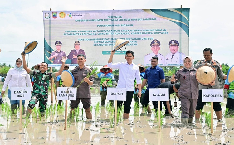 Pemkab Lampung Selatan dan Kejati Lampung Dorong Ketahanan Pangan lewat Ekspansi Padi Biosalin di Sragi