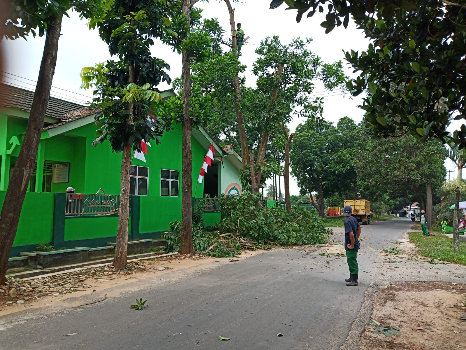 Tindaklanjuti Keluhan Masyarakat, Disperkim Metro Pangkas Pohon