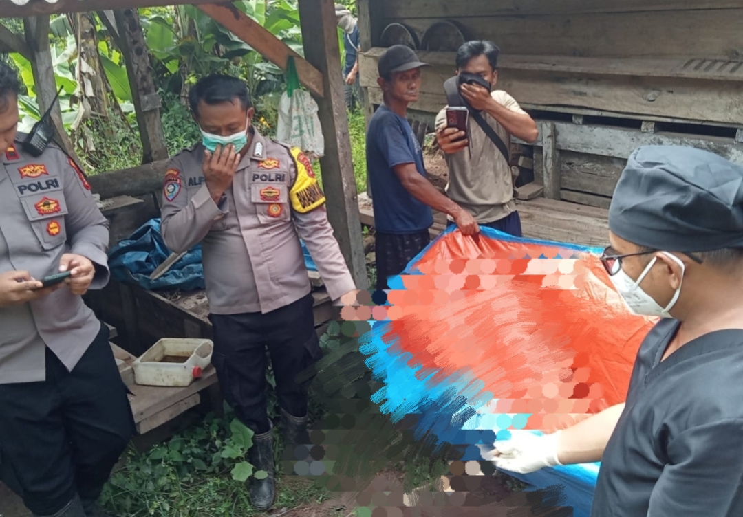 Kerangka Manusia Ditemukan di Cukuh Balak Tanggamus Lampung, Diduga Warga Lansia yang Tinggal Seorang Diri