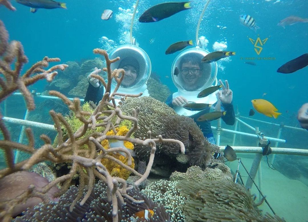 Dekat Dengan Bandar Lampung, 5 Wisata Bawah Laut Lampung yang Asik untuk Snorkeling dan Diving 