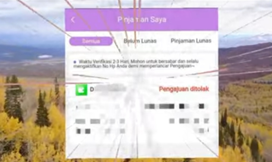 5 Tips dan Trik Pengajuan Pinjaman DANA Online Agar di ACC, Nomor 5 Tutorial Paling Rentan Dilupakan