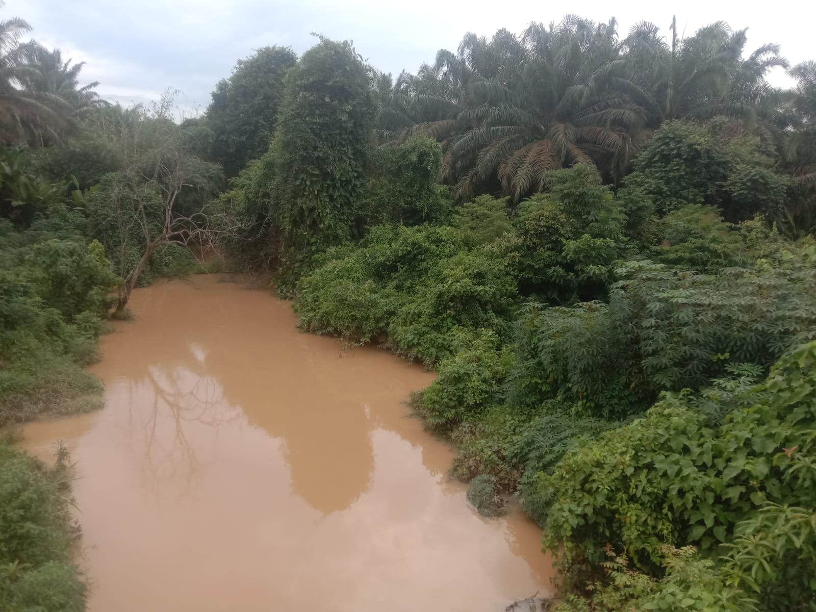 Perusahaan Sawit Diduga Langgar Aturan Sempadan Sungai, Warga Minta Pemkab dan DPRD Turun ke Lapangan