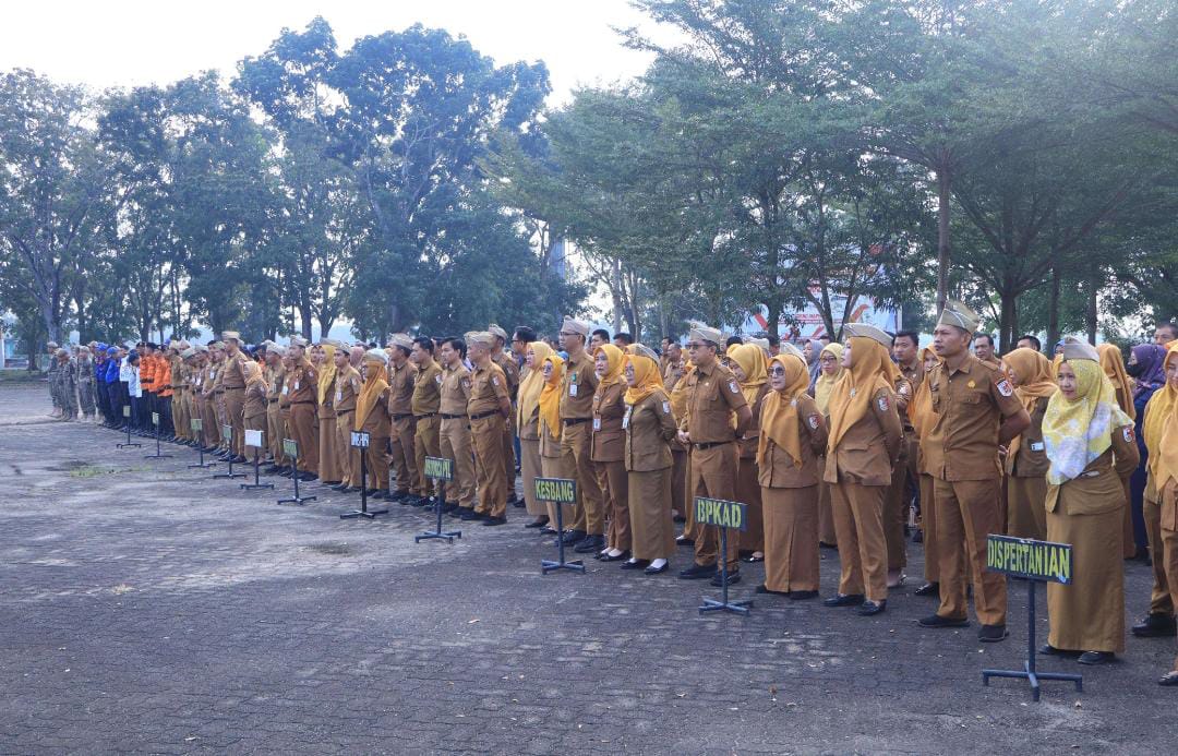 Tuai Polemik, Pemkab Tulang Bawang Larang Warga Pasang Bendera One Piece, Ini Alasannya