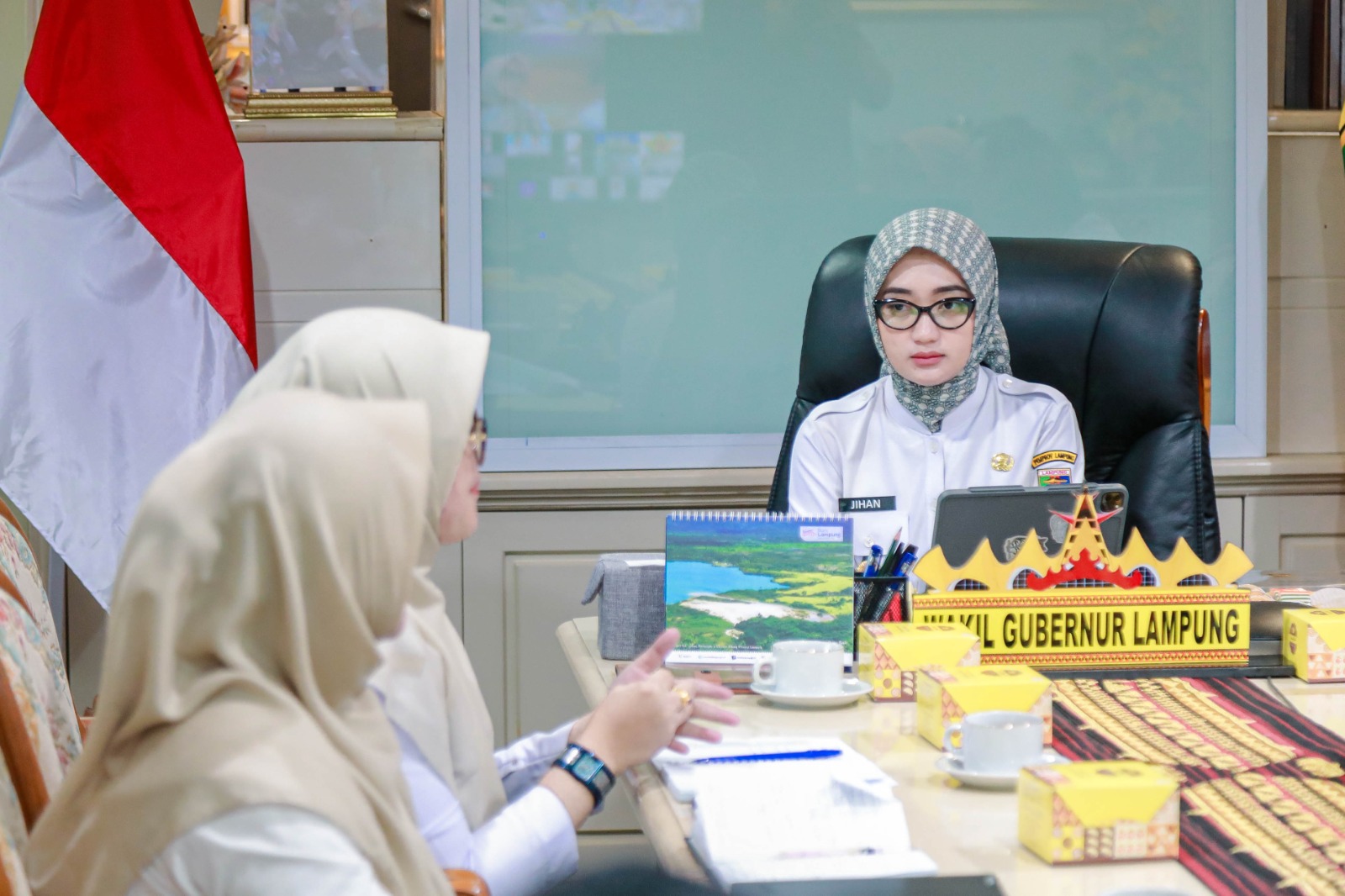 Wagub Jihan Minta Percepatan Temuan Kasus TBC di Lampung Selatan