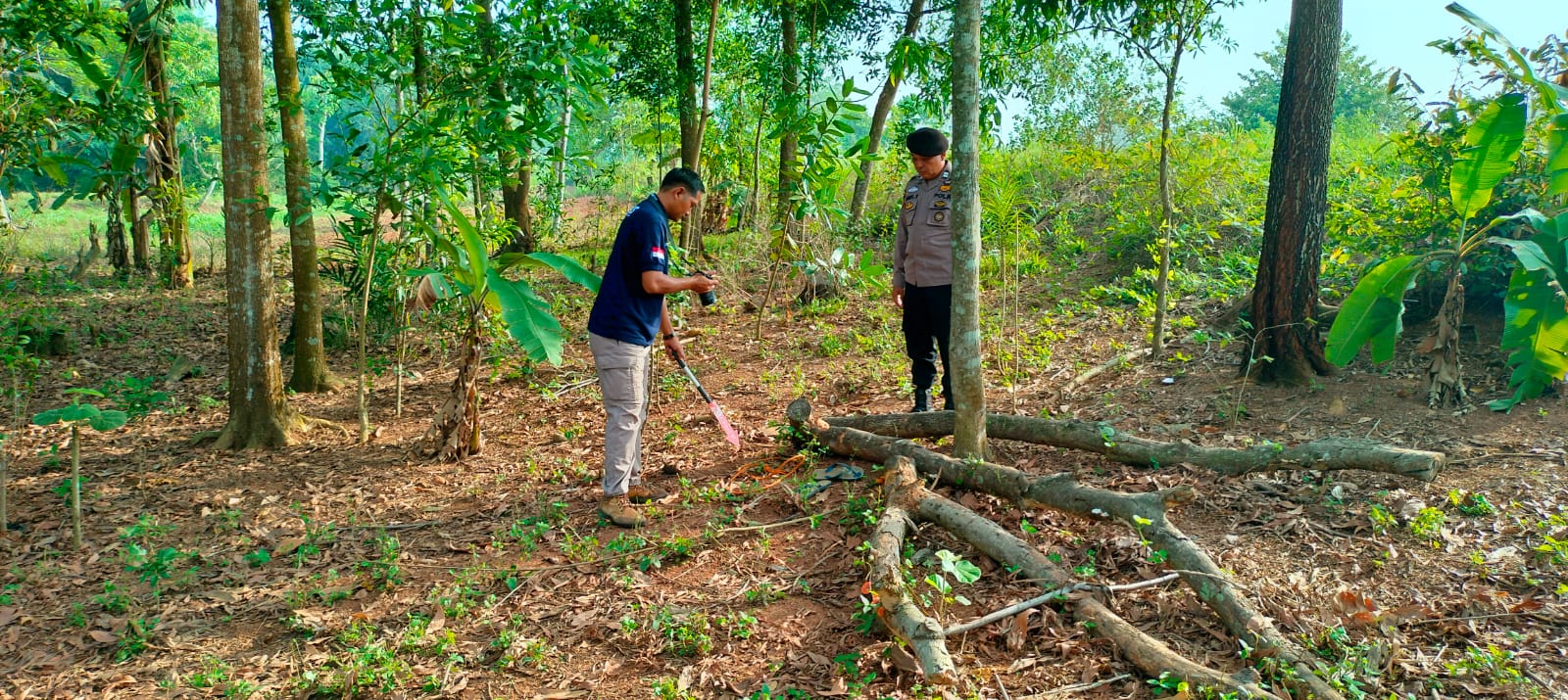 Wanita di Lampung Utara Histeris, Temukan Suami Tergantung di Pohon Akasia