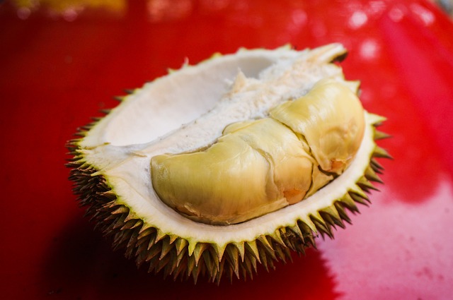 Rekomendasi Kuliner Legendaris di Medan Ada Durian Hingga Sate 