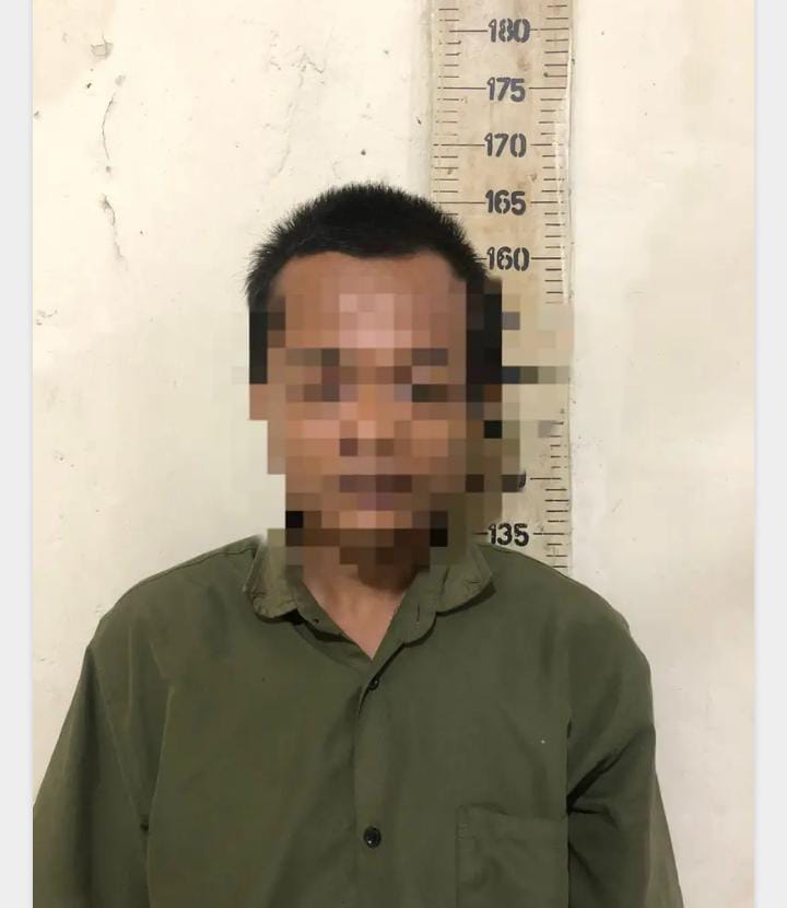 Panen Cabai Dicuri dan Dirusak, Warga Fajar Asri Diamankan Polisi