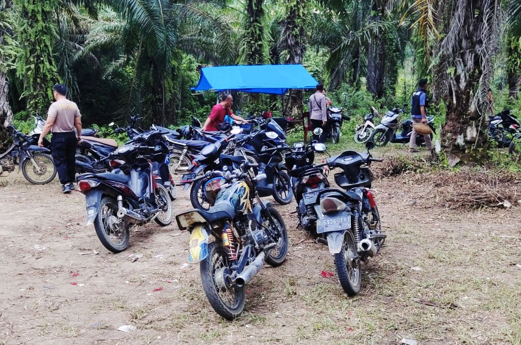 Gerebek Arena Sabung Ayam, Polsek Padang Ratu Amankan 11 Motor dan 8 Ayam Aduan