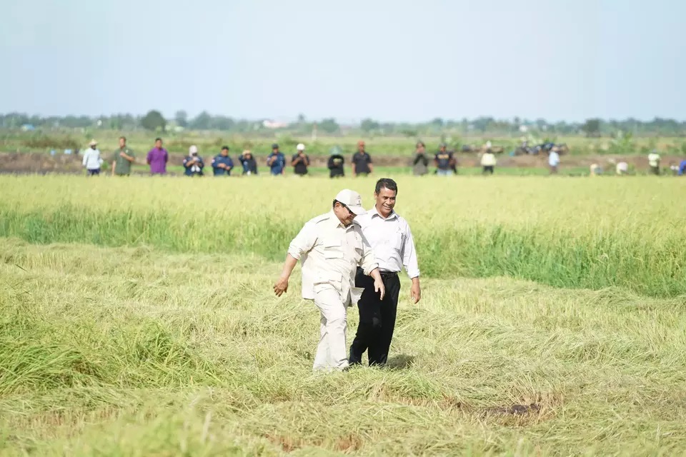 Presiden Prabowo Kunjungi Lahan Pertanian di Merauke Guna Percepat Swasembada Pangan