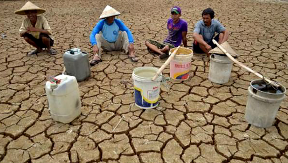 Antisipasi Kerugian Besar Akibat El Nino Ekstrem, Kementan Dorong Petani Ikut Program Asuransi Usaha