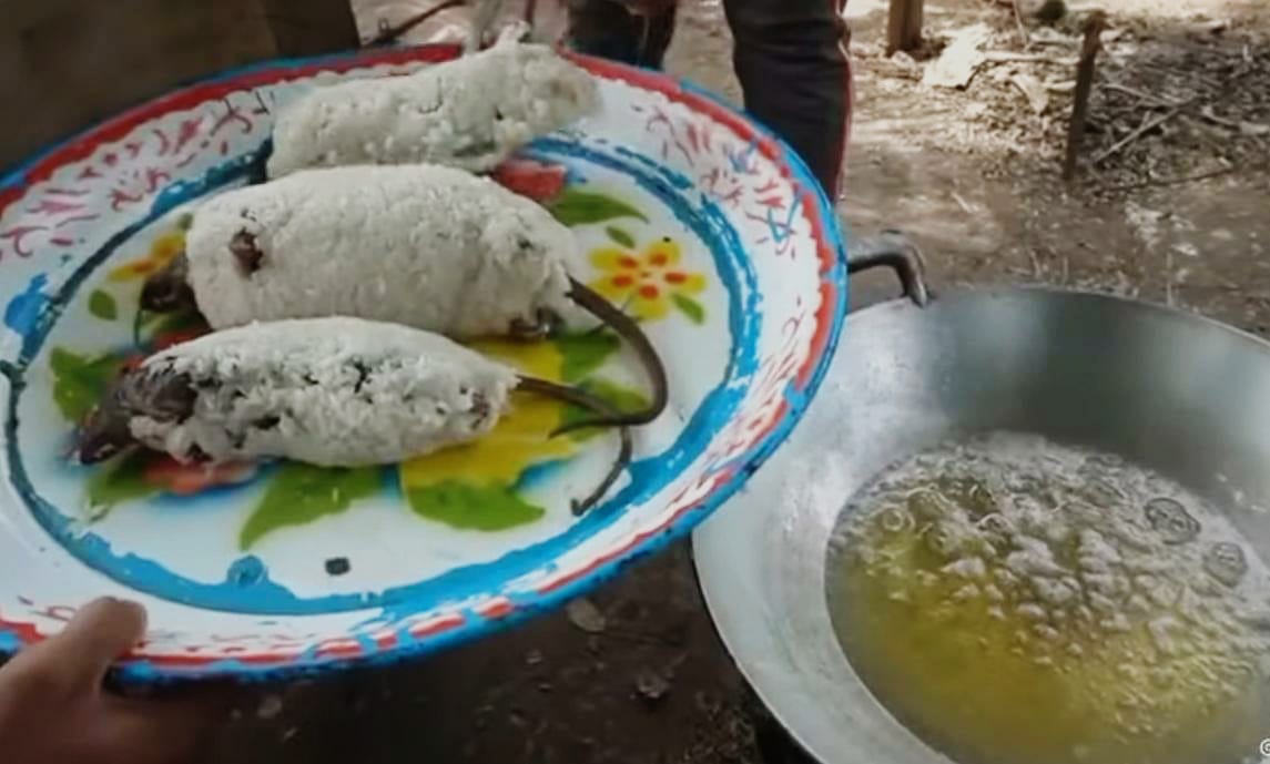 Jadi Makanan Populer di Vietnam, Ternyata  Daging Hewan Ini Memiliki Dampak Buruk untuk Kesehatan 