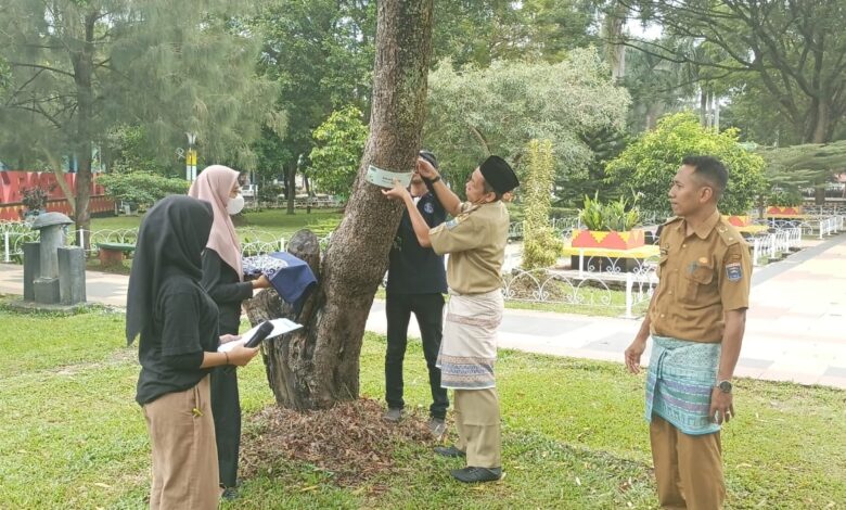 Inventarisasi Pohon Rawan Tumbang di Metro sebagai Mitigasi Bencana!