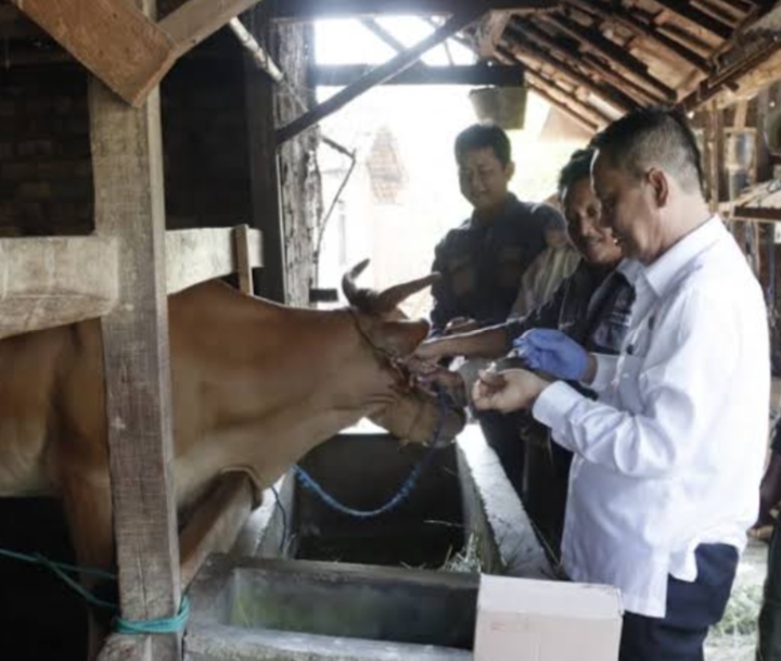 Sepanjang 2023 Terdapat 88 Kasus Rabies di Lampung Utara