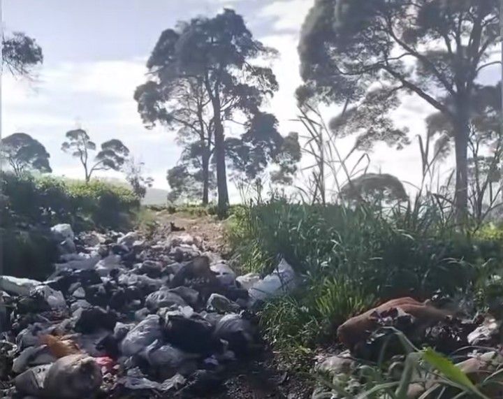 Viral! Gunungan Sampah Liar Cemari Indahnya Kebun Teh Pangalengan, Warga Geram