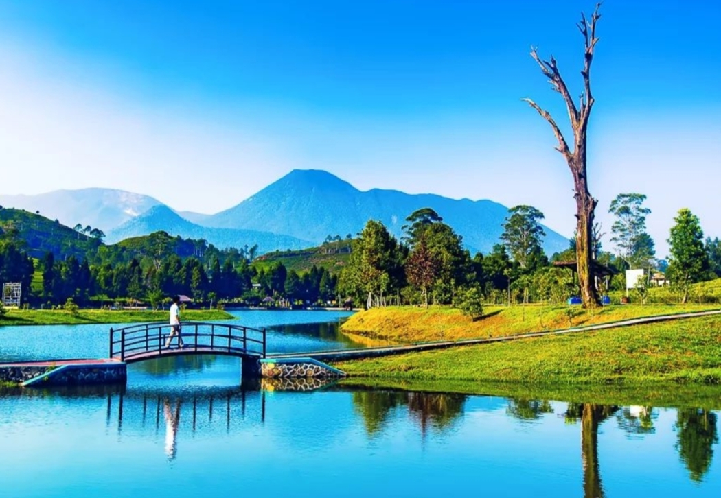 Jaraknya 1,4 Km Dari Perkebunan Teh, Wisata Telaga Saat Puncak Bogor Seperti di Film My Heart 