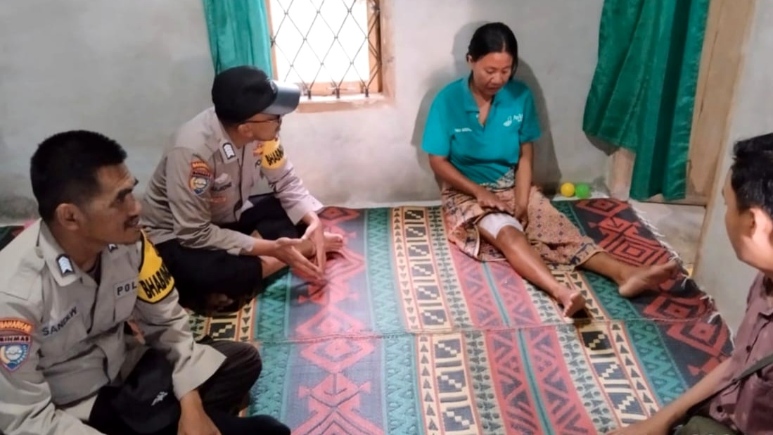 IRT di Tanggamus Lampung jadi Korban Serangan Buaya, Begini Kondisinya 