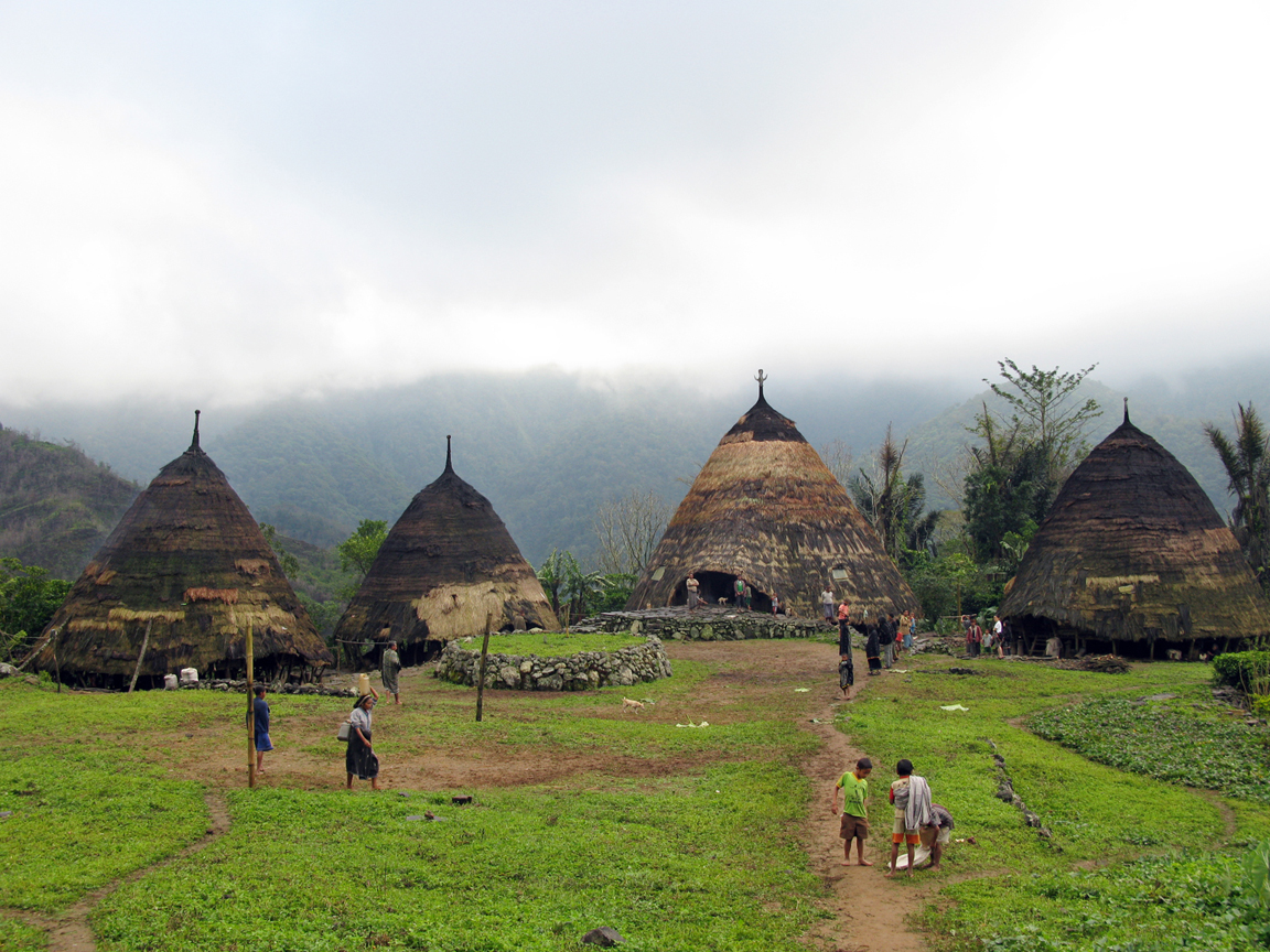 7 Fakta Tentang Wae Rebo, Kampung di Atas Awan  yang Ada di Nusa Tenggara Timur