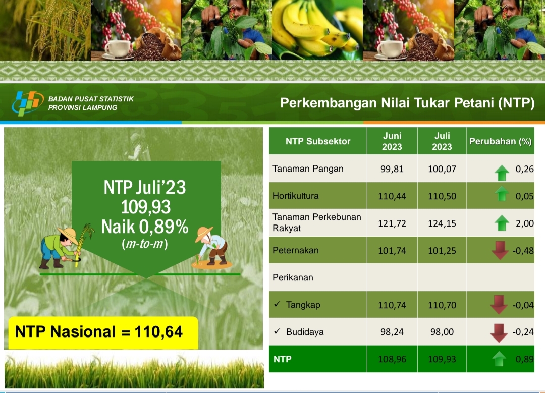 Juli 2023, BPS Catat NTP Provinsi Lampung Capai 109,89, Ini Subsektor dengan NTP Tertinggi