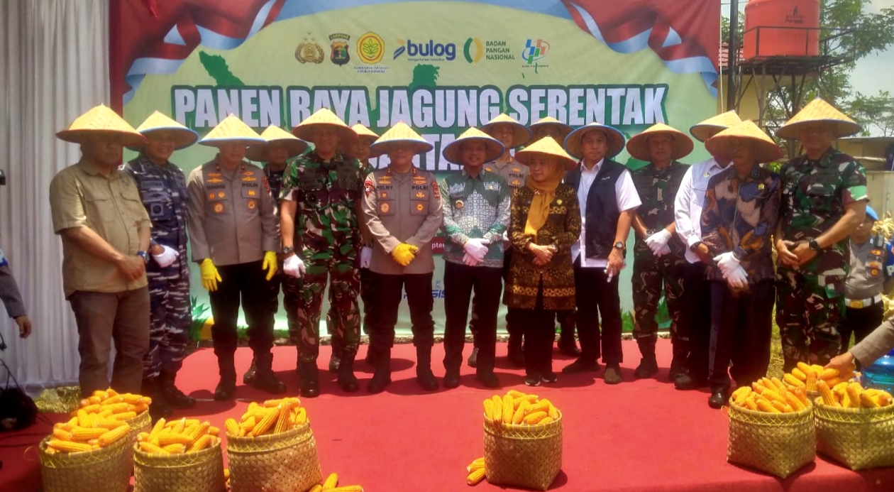 Dukung Program SPHP, Polres Pringsewu Jadi Pusat Panen Raya Jagung di Lampung 