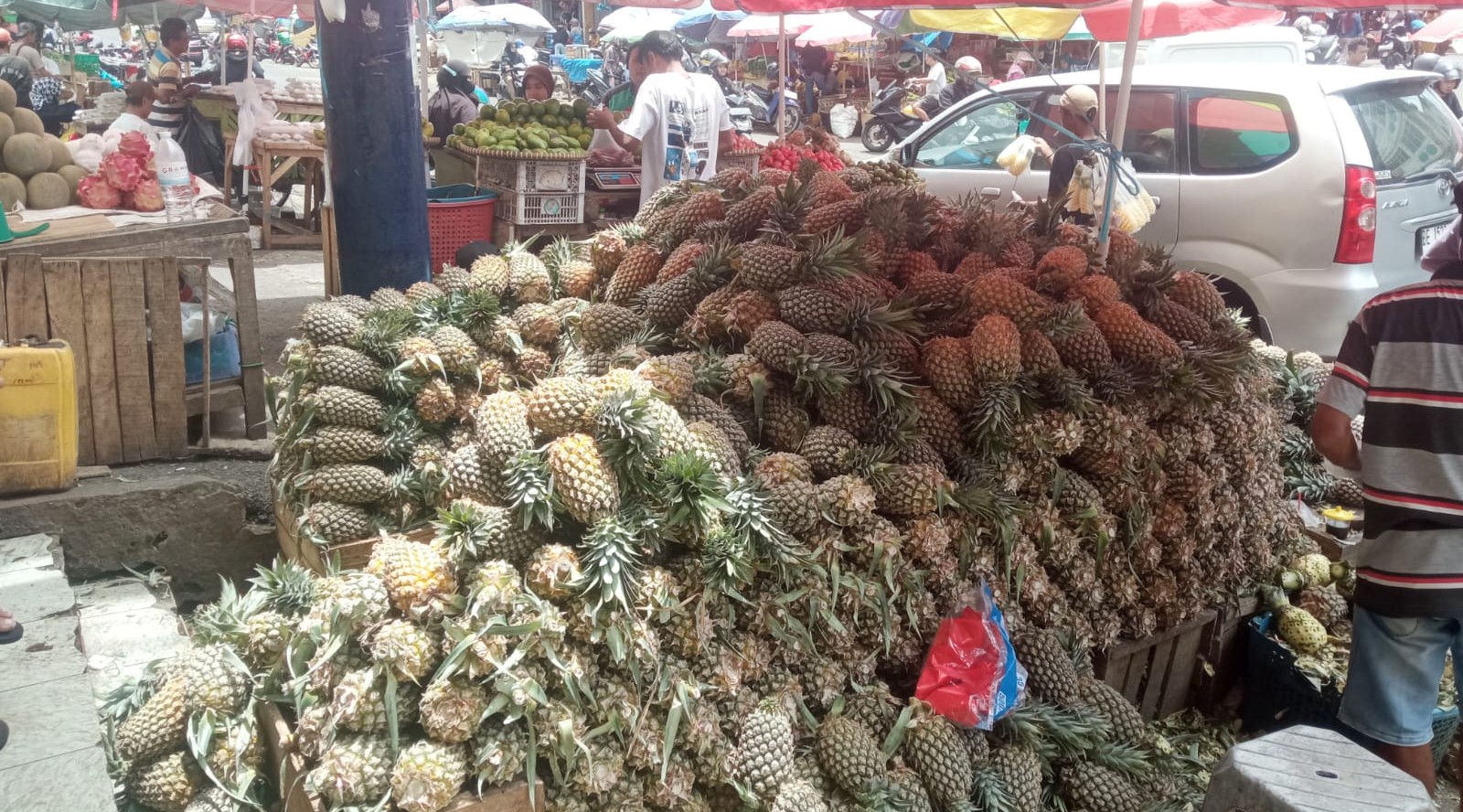 KUR BRI Pacu Ekspansi Usaha Pedagang Buah Lampung
