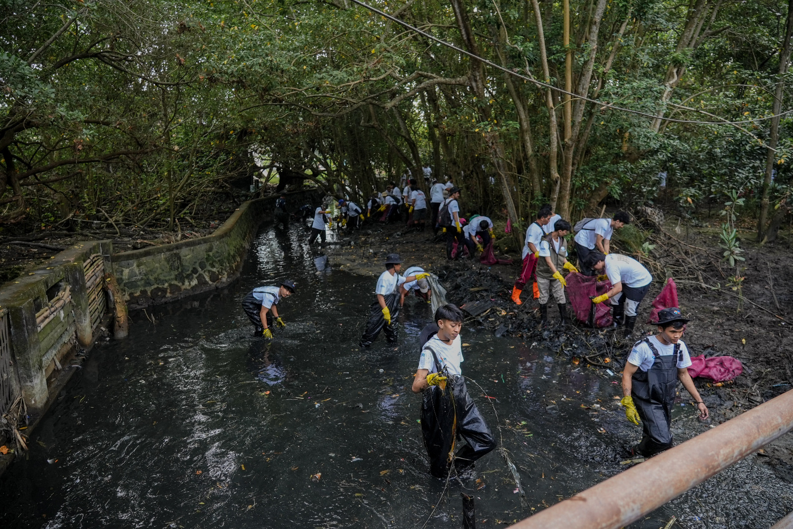Peringati Hari Sungai Nasional, BRI Jaga Ekosistem Dengan Cara Ini