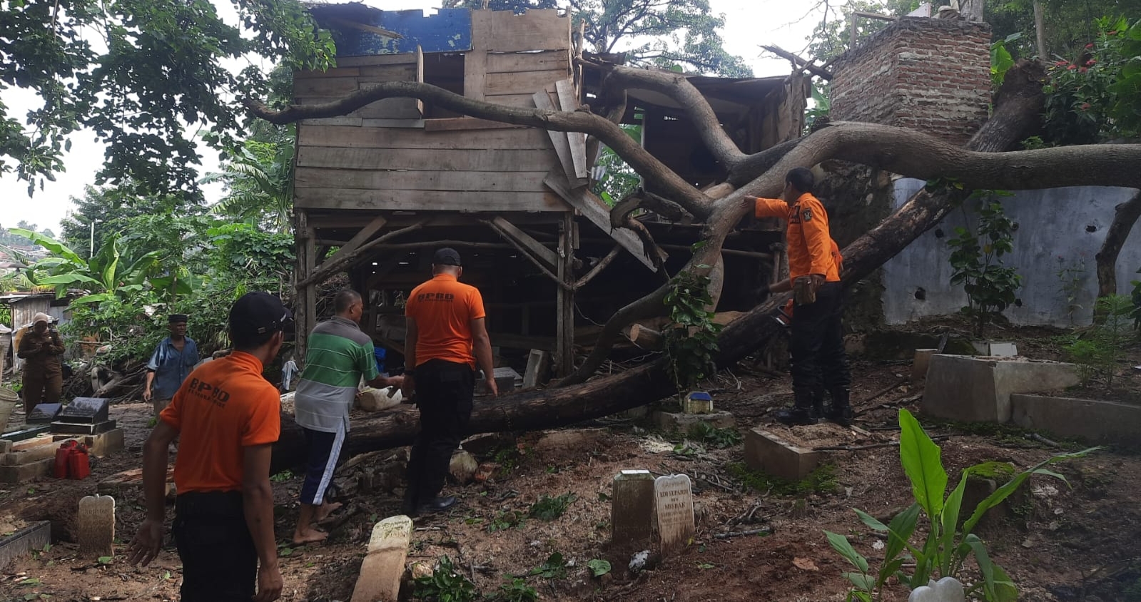 Diduga Angin Kencang dan Hujan Deras , BPBD  Evakuasi 3 Pohon Tumbang dan 5 Rumah Hanyut di Bandar Lampung