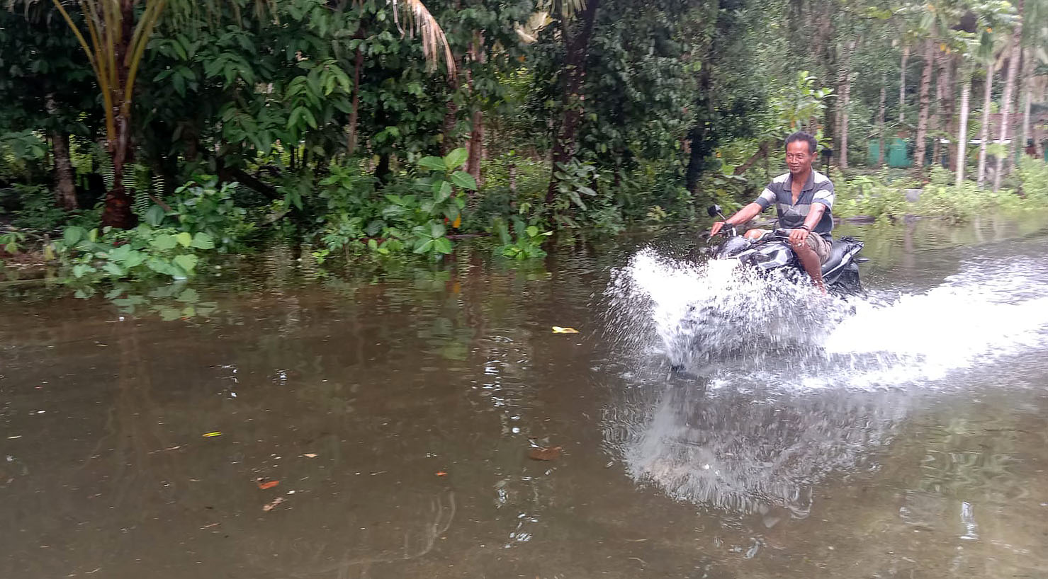 Banjir di Pesisir Barat, Puluhan Rumah dan Jalan Terendam 