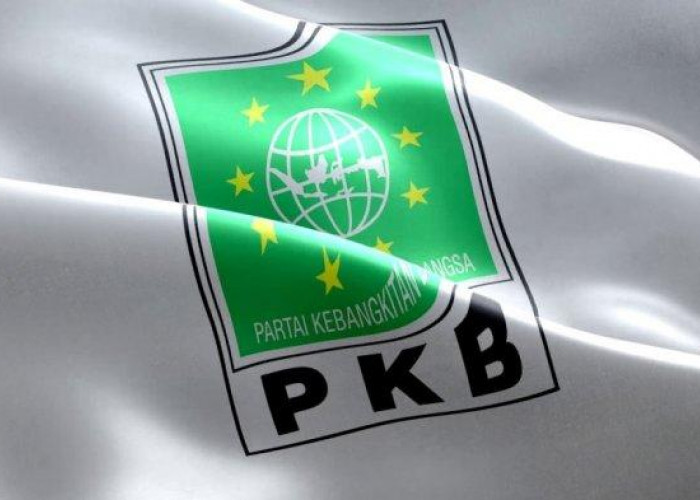 Beragam Background Profesi Daftar sebagai Calon Bupati dan Wakil Bupati di PKB Pringsewu Lampung
