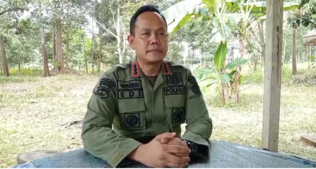Pastikan Jejak Kaki di Register 45 Mesuji Bukan Harimau