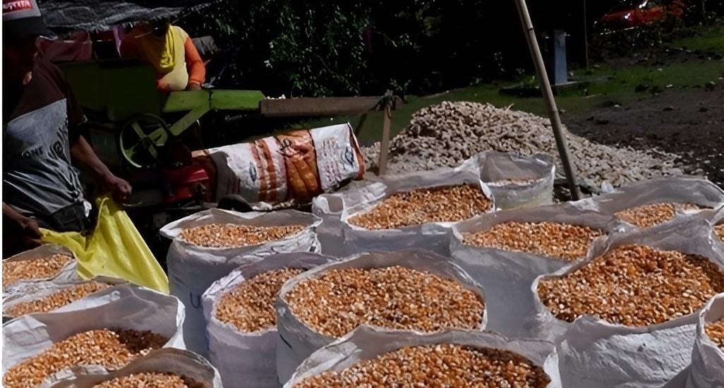 Ada Peran Agen BRIlink dan BRImo, Kisah Sukses Desa Daeena Gorontalo Tingkatkan Inklusi Keuangan 