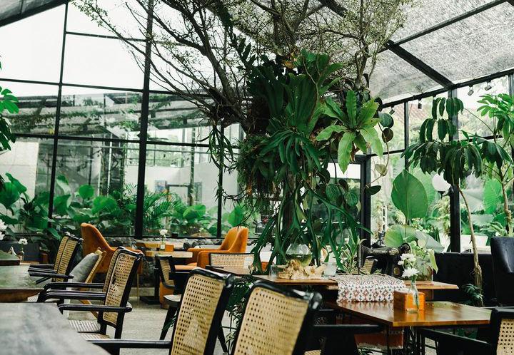 Garden Cafe Bernuansa Rumah Kaca, Inilah Tempat Ngopi Hits di Bandar Lampung