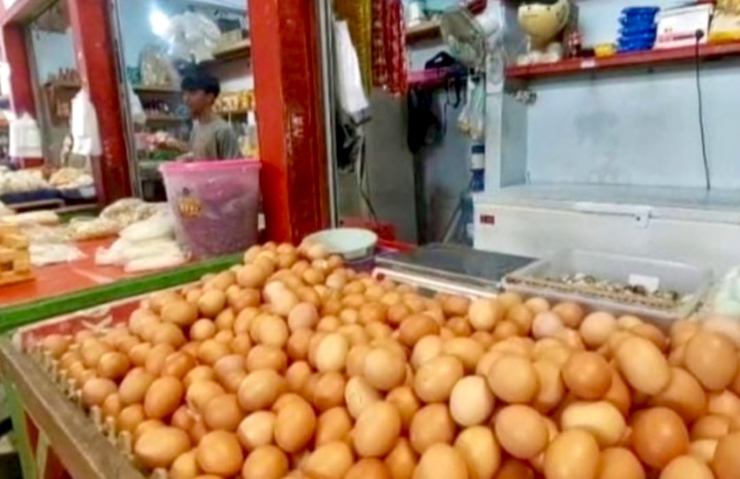 Telur Ayam Langka di Bandar Lampung Usai Lebaran 2026, Harga Terpantau Mulai Melambung