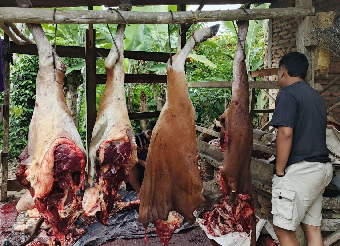 Harga Daging Sapi di Mesuji Stabil Jelang Natal dan Tahun Baru
