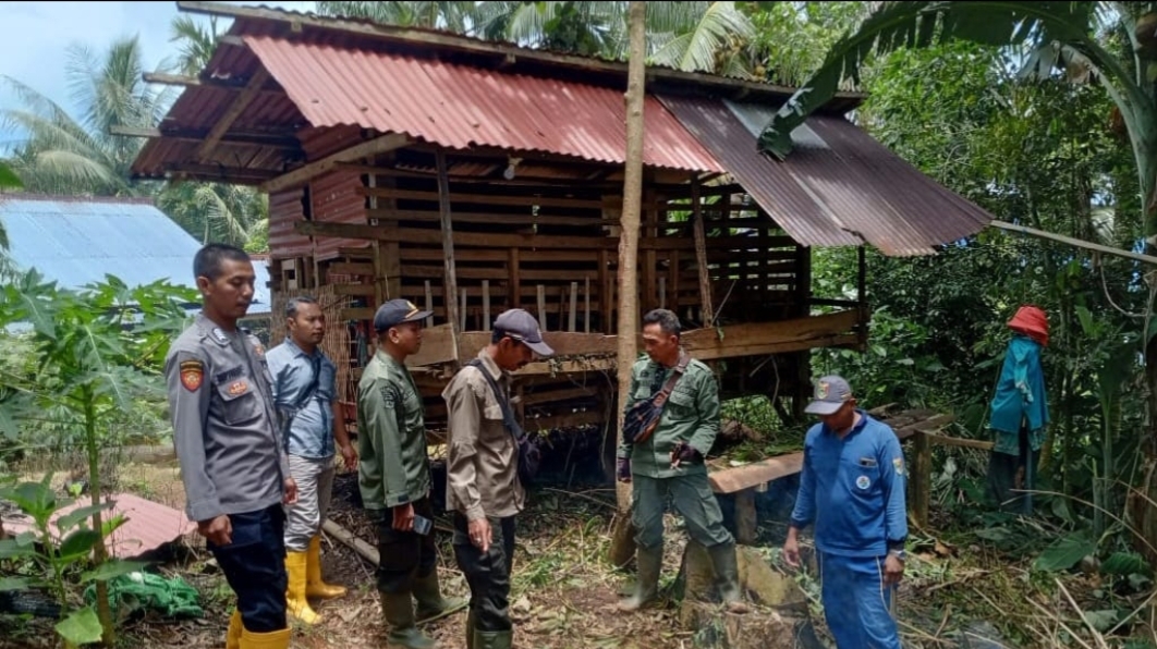 Antisipasi Konflik Satwa Liar Terjadi Di Tanggamus Lampung, Polisi & Polhut Patroli Hutan Pekon Pesanguan