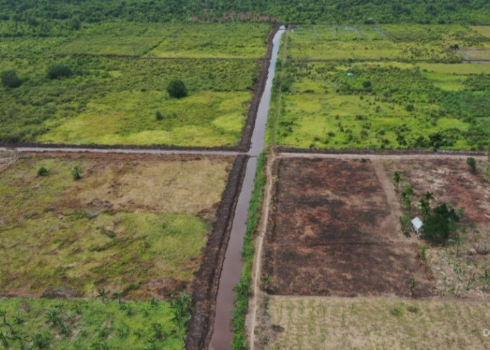 Memasuki Usia 65 Tahun, Hutama Karya Buktikan Kualitas Pertumbuhan, Laba Tumbuh, Neraca Makin Sehat