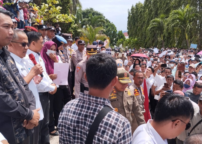 Honorer Datangi Kantor Bupati Tanggamus, Minta Dijadikan PPPK Penuh Waktu 