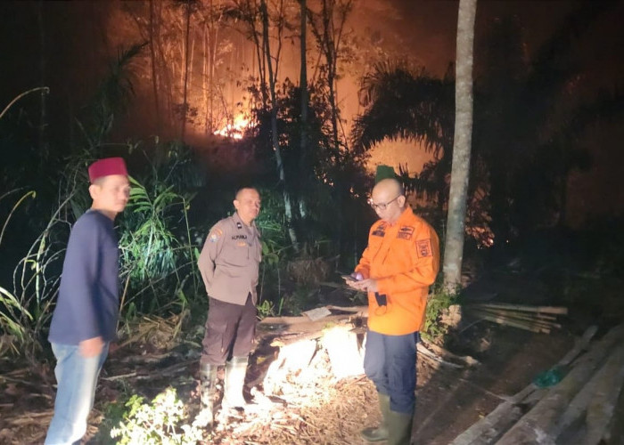 Puluhan Hektare Lahan di Tanggamus Lampung Terbakar, Pemkab Berlakukan Tanggap Darurat Bencana 
